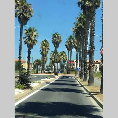Les Terrasses Du Port Διαμέρισμα Canet-en-Roussillon